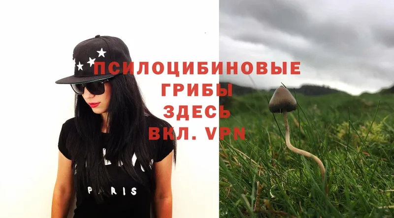 Галлюциногенные грибы MAGIC MUSHROOMS  Бирюсинск 